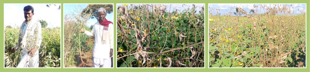 Namma Sindhanuru Click For Breaking & Local News