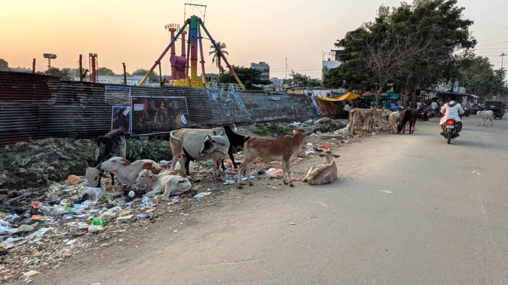 ಸಿಂಧನೂರು: ಸುಕಾಲಪೇಟೆ ರಸ್ತೆಯಲ್ಲಿ ಧೂಳೋ ಧೂಳು, ಸಾರ್ವಜನಿಕರ ಗೋಳು.. 4 Namma Sindhanuru Click For Breaking & Local News