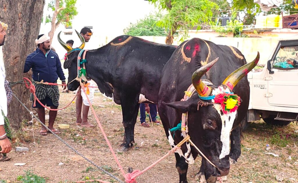 Namma Sindhanuru Click For Breaking & Local News