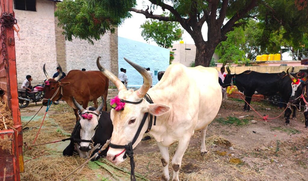 Namma Sindhanuru Click For Breaking & Local News